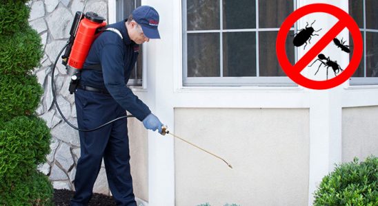 Sivas Gümüşkurt İlaçlama böcek ilaçlama ve haşere kontrolü — ilaclama-tr.com
